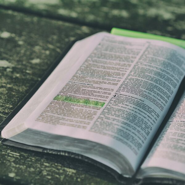 bible, book, open